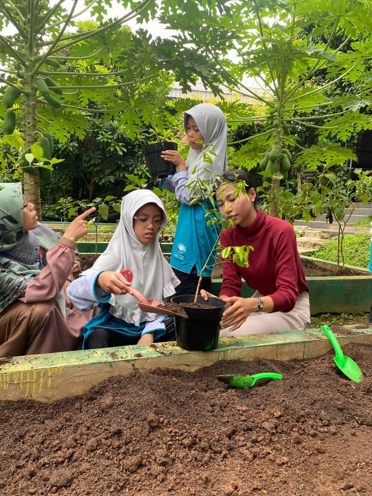 SDIT Nurul Fikri, 12 November 2025